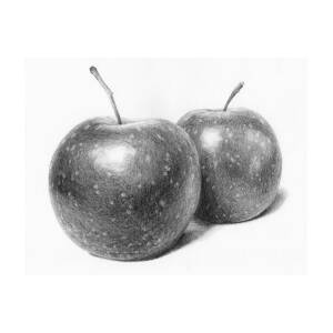 Red Apple With Still Life Fruit Sketch In Background With Pencil Stock  Photo Picture And Royalty Free Image Image 276637