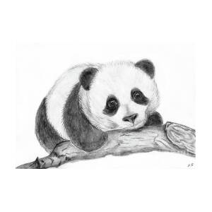 Baby Panda Painting By Sergey Lukashin