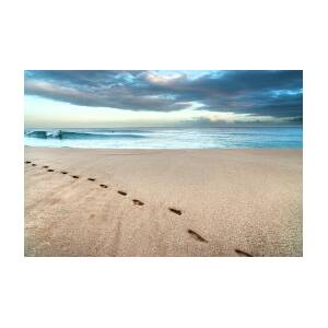 Beach Break Footprints Photograph by Sean Davey - Fine Art America