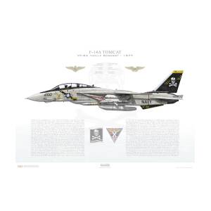 F-14A Tomcat VF-84 Jolly Rogers, AJ200 / 160393 / 1977 - Profile 