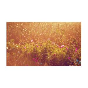 Fields of Gold Photograph by Jenny Rainbow | Fine Art America