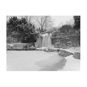 Frozen Waterfall At The St Louis Zoo Bnw Photograph by Debbie Fenelon