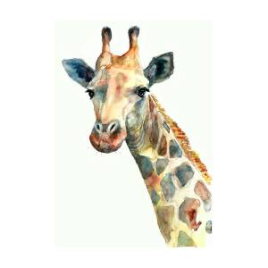 Giraffe watercolor Painting by Dim Dom - Fine Art America