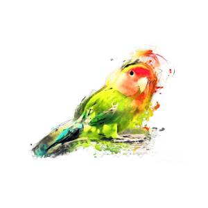 Peacock bird painting art #pecock - JBJart Justyna Jaszke - Digital Art,  Animals, Birds, & Fish, Birds, Peacocks - ArtPal