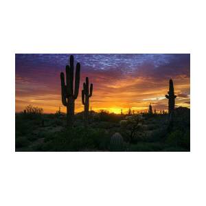 Sonoran Saguaro Sunset Photograph by Saija Lehtonen - Fine Art America