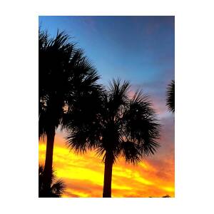 Palm Trees at Sunset Blank House Key SC 