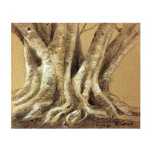 Paintings and Drawings by Manju Panchal: Charcoal drawing of a tree