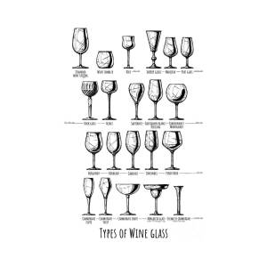 Types Of Beer Glassware #1 Drawing by Alexander Babich - Fine Art America