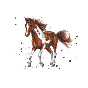 watercolor-horse-painting-alison-fennell.jpg