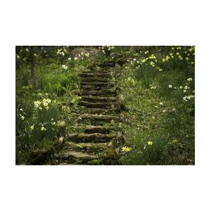 Wildflowers And Winding Stairs At The Aullwood Gardens Metropark