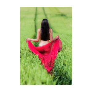 Fine Art Nude Girl In Grass Field