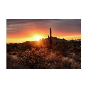 A Peachy Sonoran Sunset Photograph by Saija Lehtonen - Fine Art America