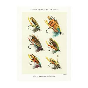 Fly Fishing Lures 4 Drawing by David Letts - Pixels