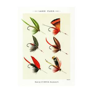 Fly Fishing Lures 6 Drawing by David Letts - Pixels