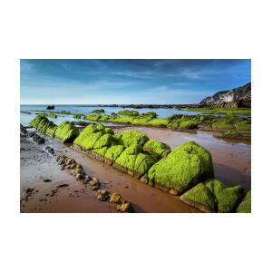 Green Moss Rocks On Barrika Beach by © Francois Marclay
