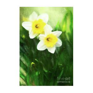 Lovely Painted Daffodil Pair Photograph by Anita Pollak - Fine Art America