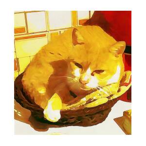 My Toby Cat In The Kitchen Painting Painting By Artista Fratta