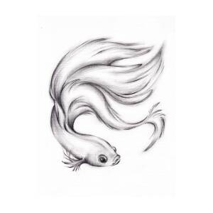 River Belle - Original Charcoal Pencil Drawing of a Siamese/Betta Fighting  Fish Shower Curtain by Rebecca Rees - Pixels