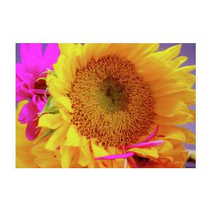 Sunflower and Pink Daisies Coffee Mug by Terri Stanley - Pixels