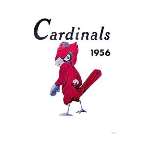 1950's ST. LOUIS CARDINALS Print Vintage Baseball 