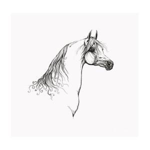 Arabian horse head 20 09 27 Drawing by Ang El - Pixels