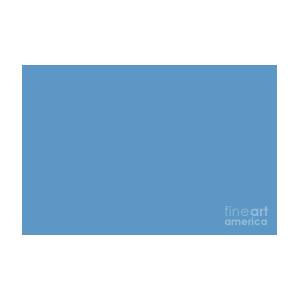Calming Medium Blue Solid Color Pairs to Tranquil Blue 114-57-24
