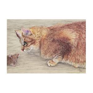 Cat and Mouse Game Drawing by Meredith Moss - Fine Art America