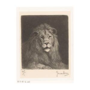 Head of a lion, Jan van Essen, 1864 - 1936 Painting by Shop Ability | Pixels