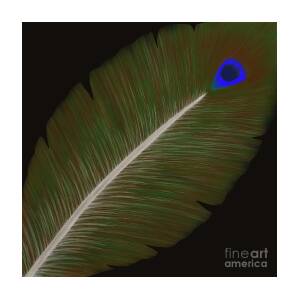 Like a peacock feather Digital Art by Irma Duckett - Fine Art America