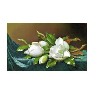 Magnolias on Light Blue Velvet Cloth - Digital Remastered Edition ...