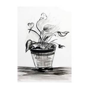 Feng Shui Money Plant Sketch Chalkboard Stock Illustration - Download Image  Now - Bush, Drawing - Art Product, Black And White - iStock