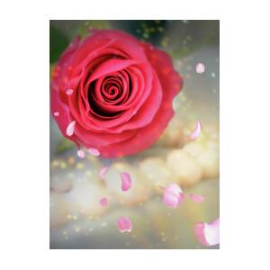 Happy Birthday Red Rose by Johanna Hurmerinta