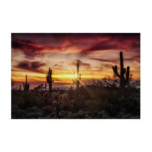Sonoran Sunset 101 Photograph by Saija Lehtonen - Fine Art America