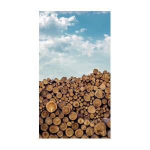 Stacked Logs Wood Print by Sunnybeach 