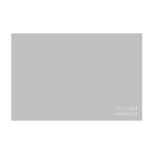Stormy Grey - Light Neutral Mid Tone Gray Solid Color by PIPA Fine