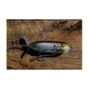 Torpedo Fishing Lure Photograph by Laurie Ewing - Pixels