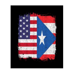 USA Puerto Rico Flag Land Pride by Manuel Schmucker