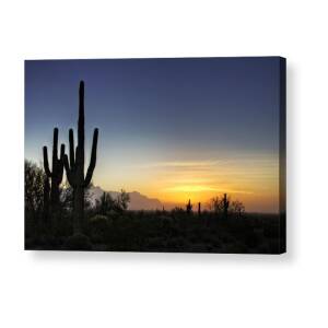 A Sonoran Desert Sunrise Acrylic Print by Saija Lehtonen