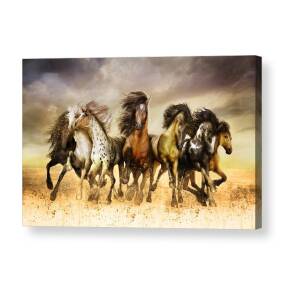 Shikoba Choctaw Horse Acrylic Print by Shanina Conway