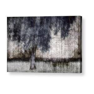 Winter Dawn Tree Silhouette Acrylic Print by Carol Leigh