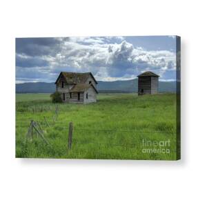 Old Montana Farmhouse Acrylic Print by Sandra Bronstein