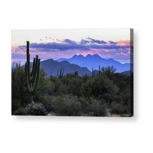 A Sonoran Desert Sunrise Acrylic Print by Saija Lehtonen