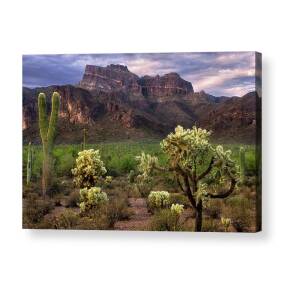 Church at the Superstition Mountains Arizona Acrylic Print by Dave Dilli
