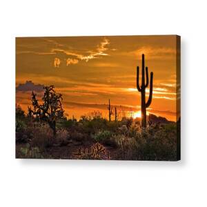 Four Peaks Sunset Acrylic Print by Dave Dilli