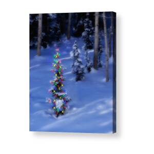 Christmas Lights at Temple Square Acrylic Print by Douglas Pulsipher