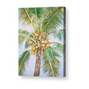 Coconut Tree Acrylic Print by Jelly Starnes
