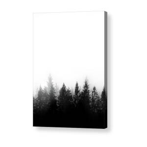 Enchanted Forest Acrylic Print by Nicklas Gustafsson