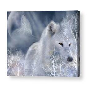 Moon Spirit 2 - White Wolf - Blue Acrylic Print by Carol Cavalaris