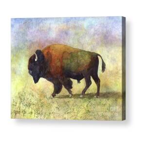 American Buffalo Acrylic Print by Hailey E Herrera