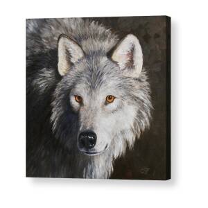 Wolf Painting - Night Watch Acrylic Print by Crista Forest